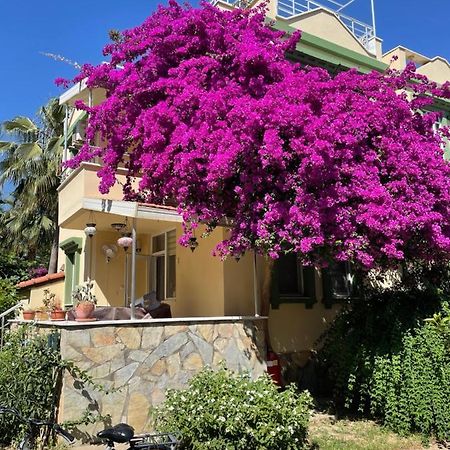 Villa Konak Club อลันยา ภายนอก รูปภาพ